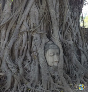 Ayutthaya. (5)